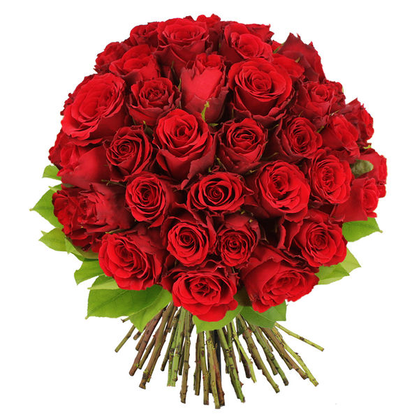 Bouquet de roses (5 roses) - Easy-Market